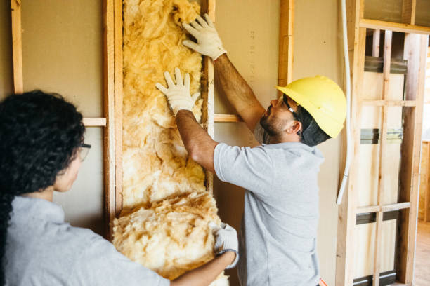 Best Spray Foam Insulation  in Keystone, FL